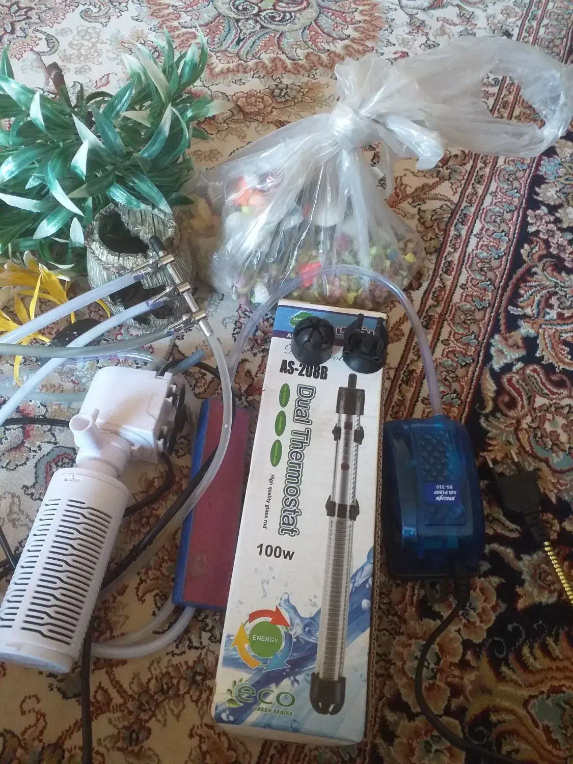 آکواریوم|لوازم جانبی حیوانات|سنندج, |دیوار