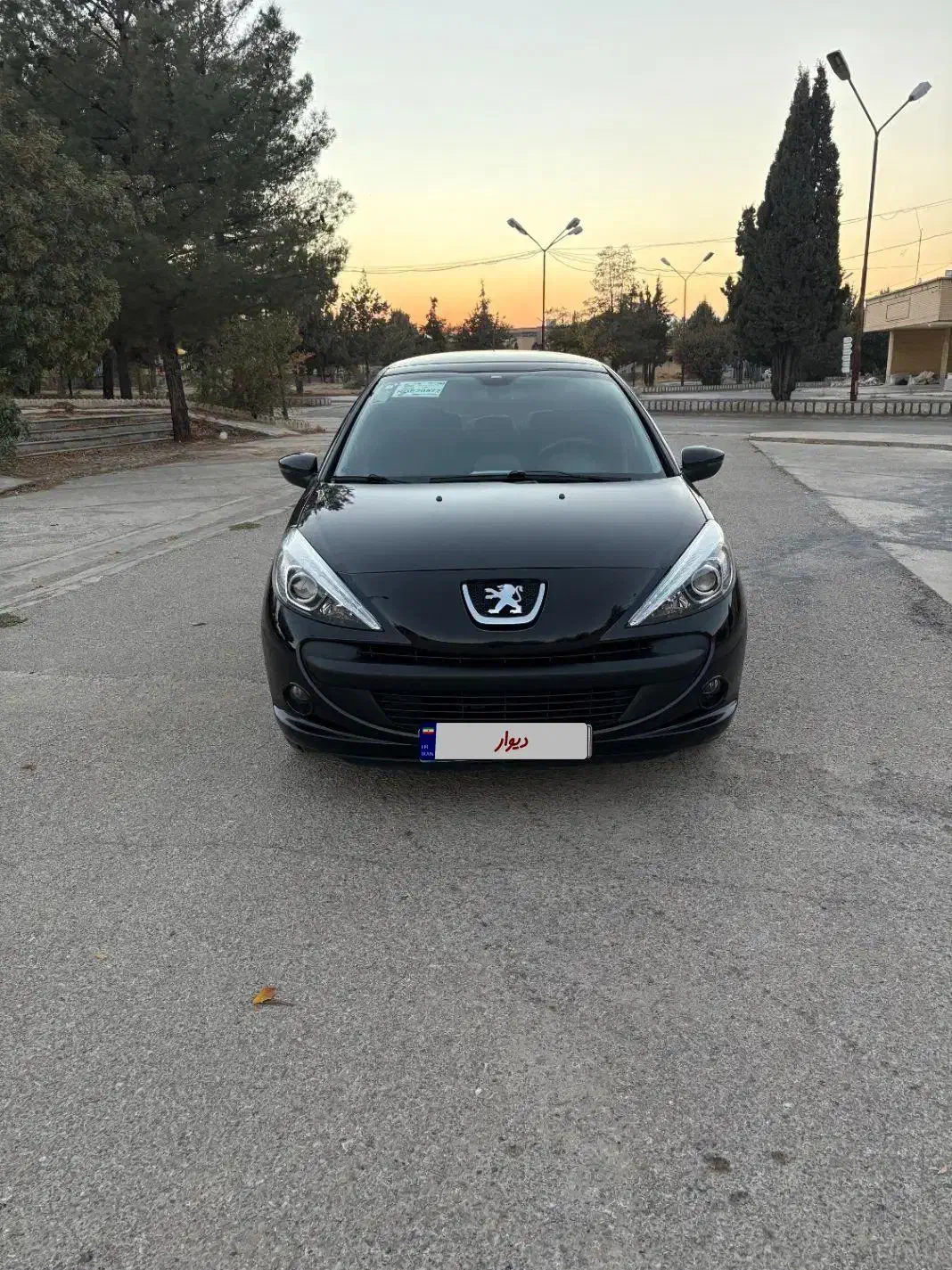 ۲۰۷پانا مدل ۱۴۰۳|خودرو سواری و وانت|پاسارگاد, |دیوار