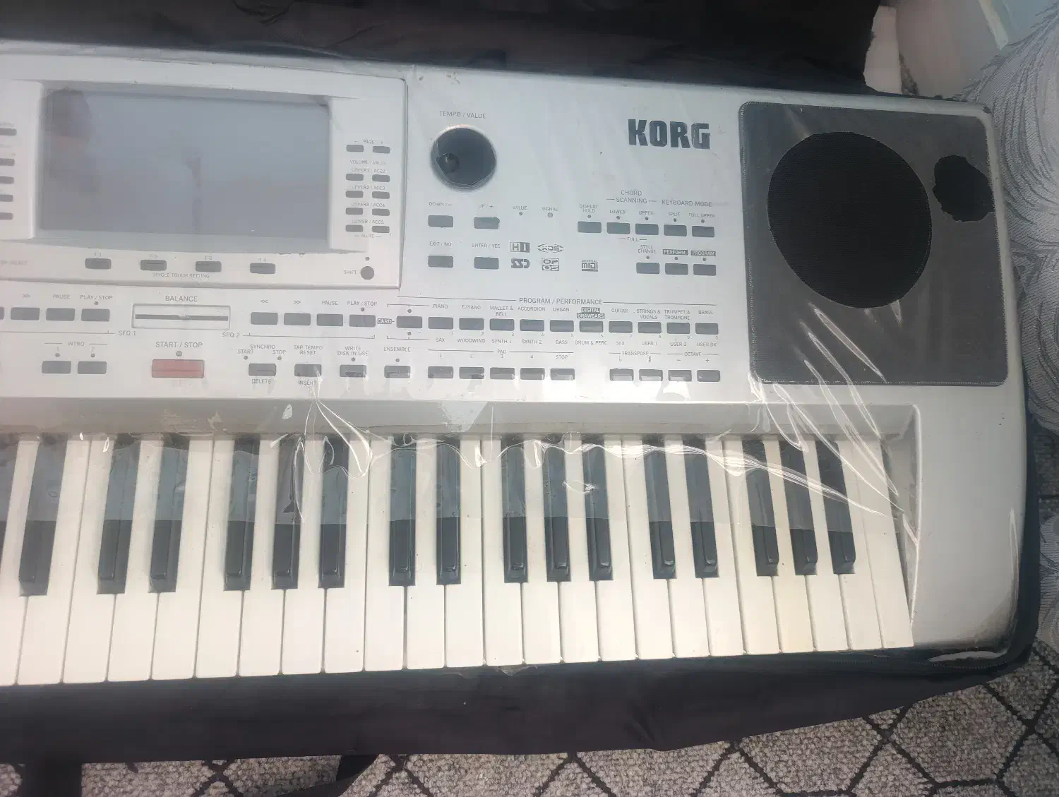 Pa80|پیانو، کیبورد، آکاردئون|فیروزآباد (فارس), |دیوار