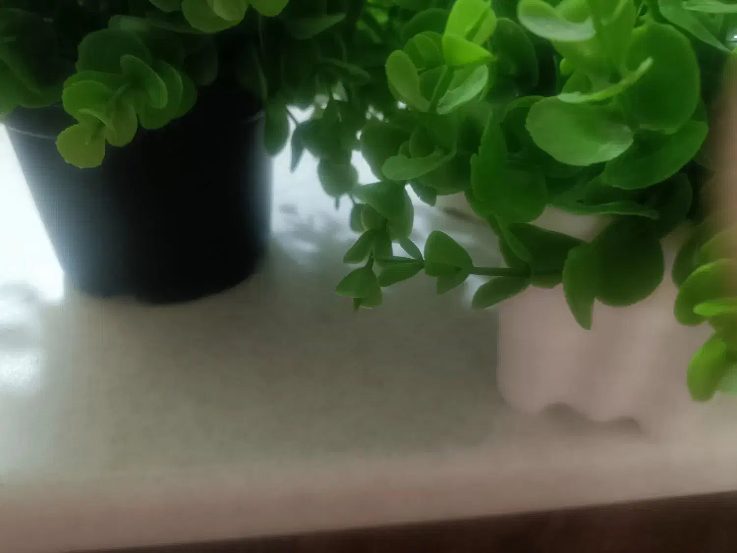 گلدان|گل مصنوعی|زاهدان, |دیوار