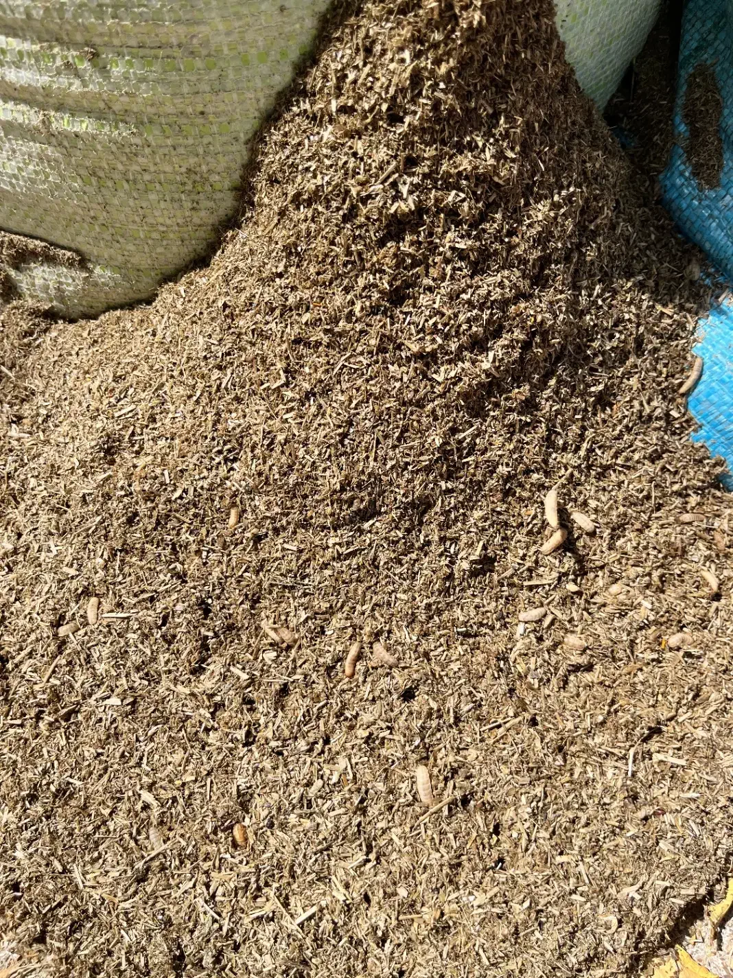 کود ارگانیک ورمی کمپوست|خدمات باغبانی و درختکاری|مشهد, انبارنفت|دیوار