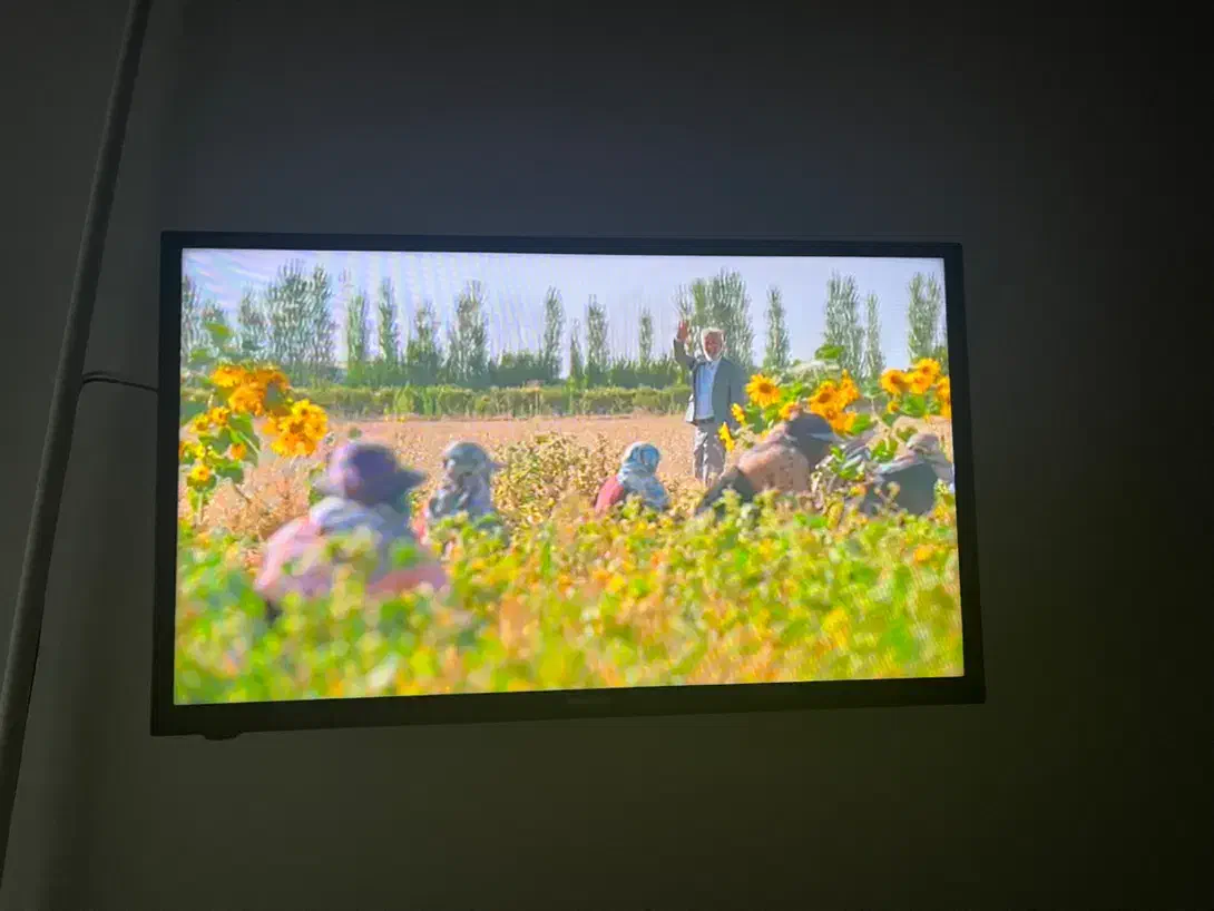 تلویزیون 32 اینچ هایسنس|تلویزیون و پروژکتور|رشت, رشتیان|دیوار