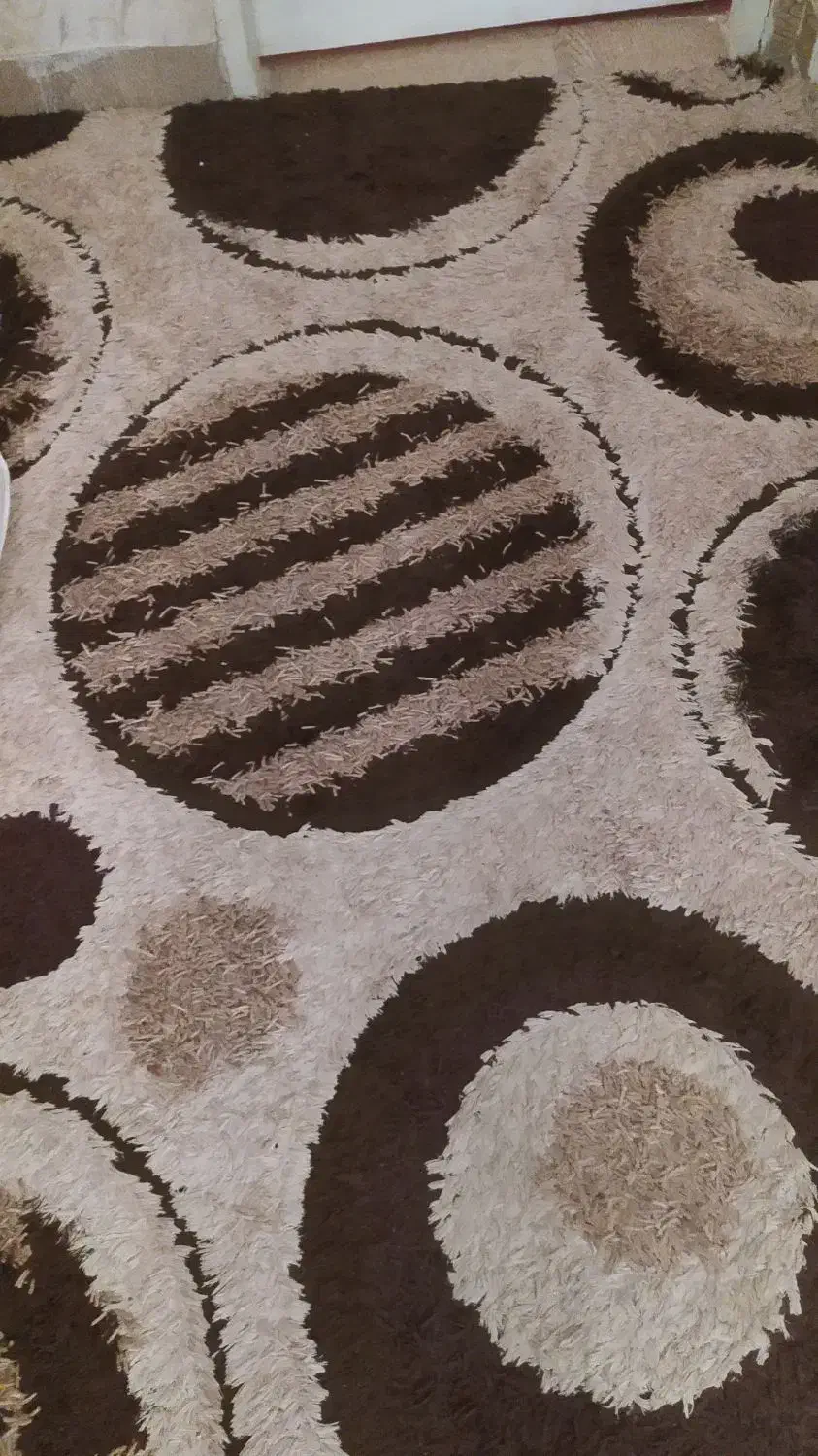 فرش ترک|فرش|اهواز, گلستان|دیوار