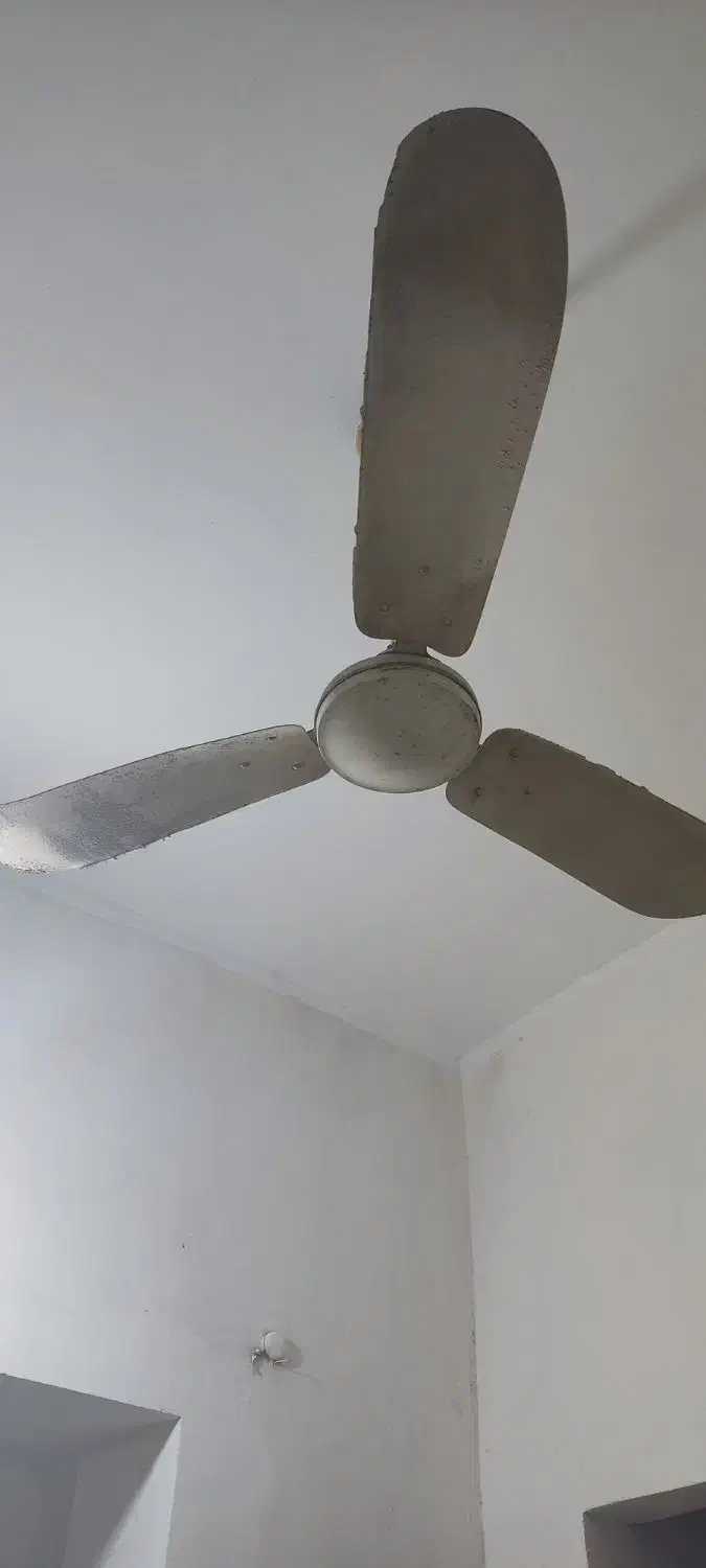 پنکه سقفی قدیمی|پنکه و تصفیه‌کنندهٔ هوا|بندرعباس, |دیوار