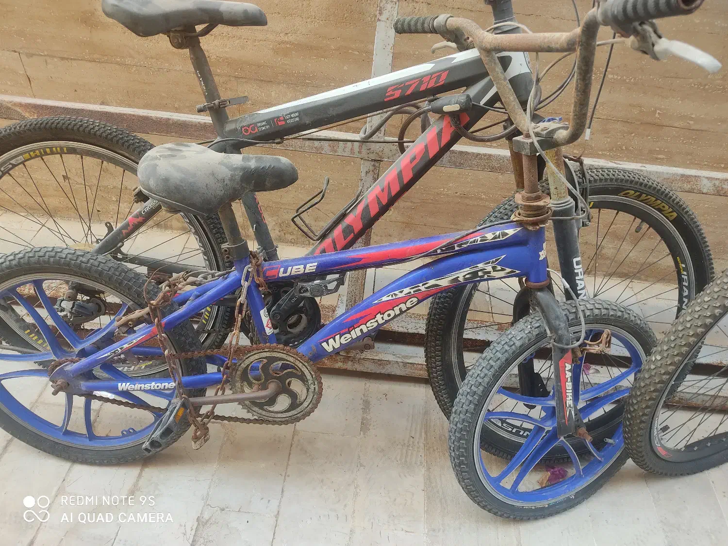 سه عدد دوچرخه|دوچرخه، اسکیت، اسکوتر|کیش, |دیوار