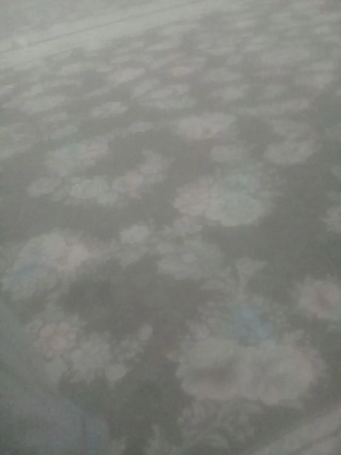 قالیشوی ومبل شویی فرهنگیان|خدمات نظافت|تربت جام, شهرک آزادگان|دیوار