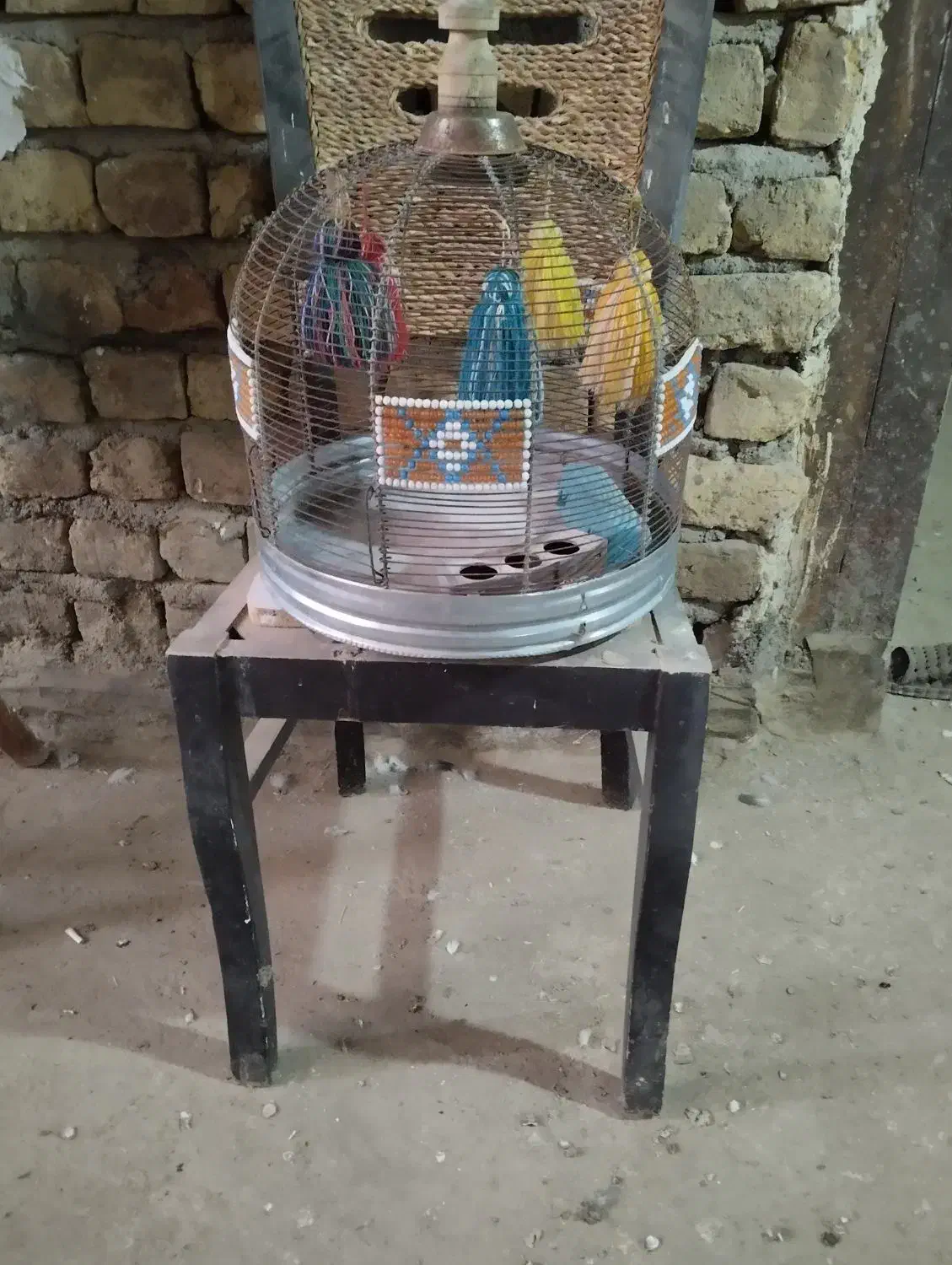 قفس|لوازم جانبی حیوانات|قم, شهر قائم|دیوار