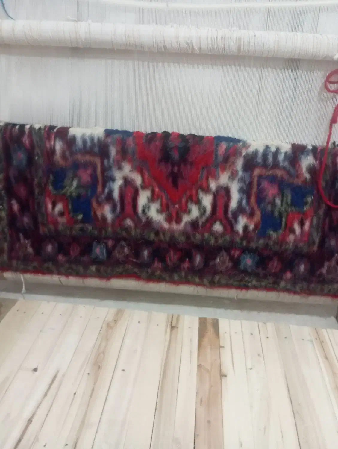 فرش زرنیم هریس|فرش|تبریز, |دیوار