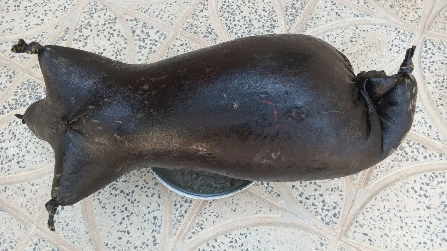 هیزه|خوردنی و آشامیدنی|ایوان, |دیوار
