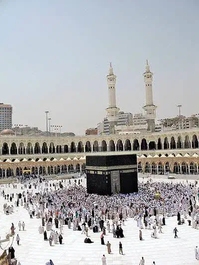 فیش عج تمتع|تور و چارتر|اشنویه, |دیوار