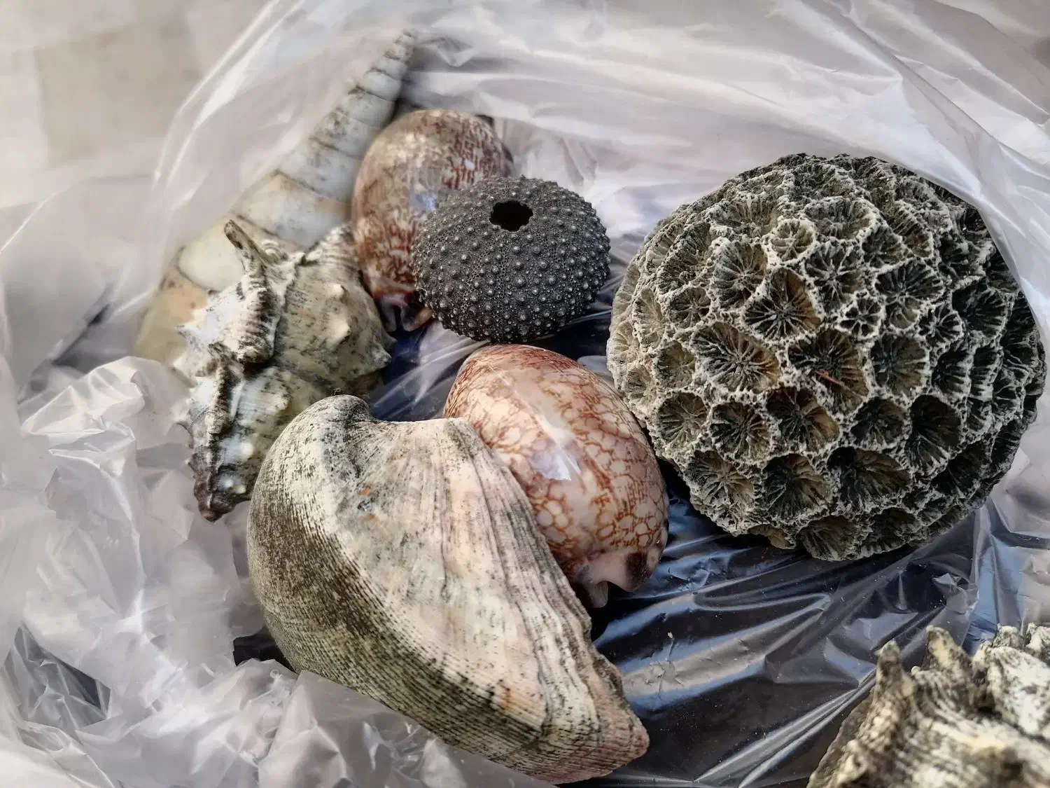 فروش وسایل اکواریوم|لوازم جانبی حیوانات|رفسنجان, |دیوار