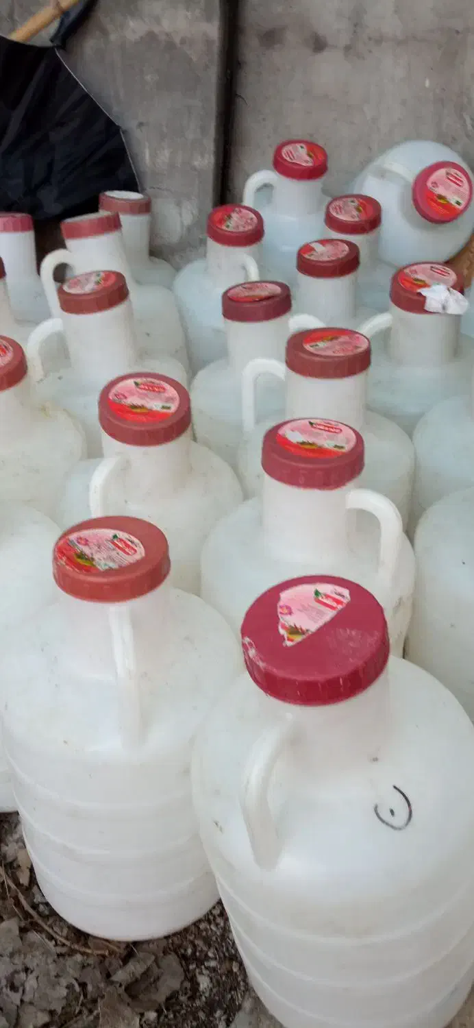 دبه خیارشور خالی|ظروف نگهدارنده، پلاستیکی، یک‌بارمصرف|رشت, کوی طالقانی|دیوار