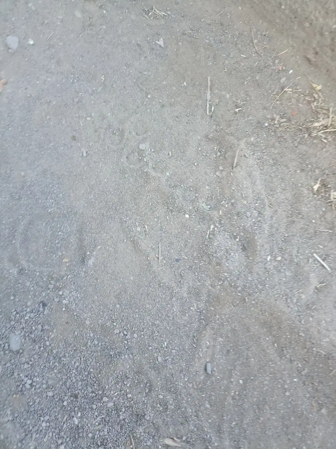 زمین سرریزی دزک|فروش زمین و ملک کلنگی|سراوان, |دیوار