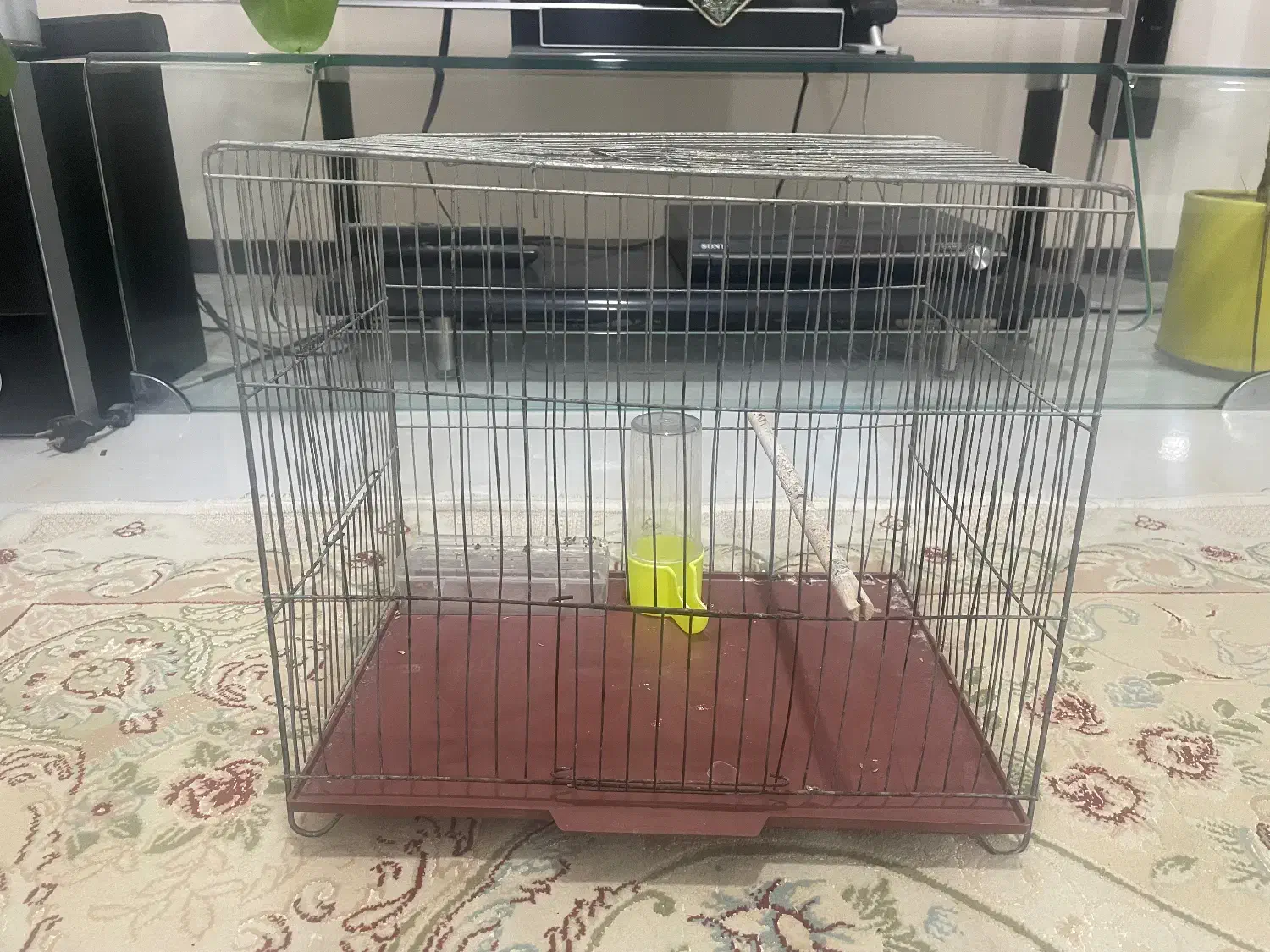 قفس پرنده|لوازم جانبی حیوانات|بندر ماهشهر, |دیوار