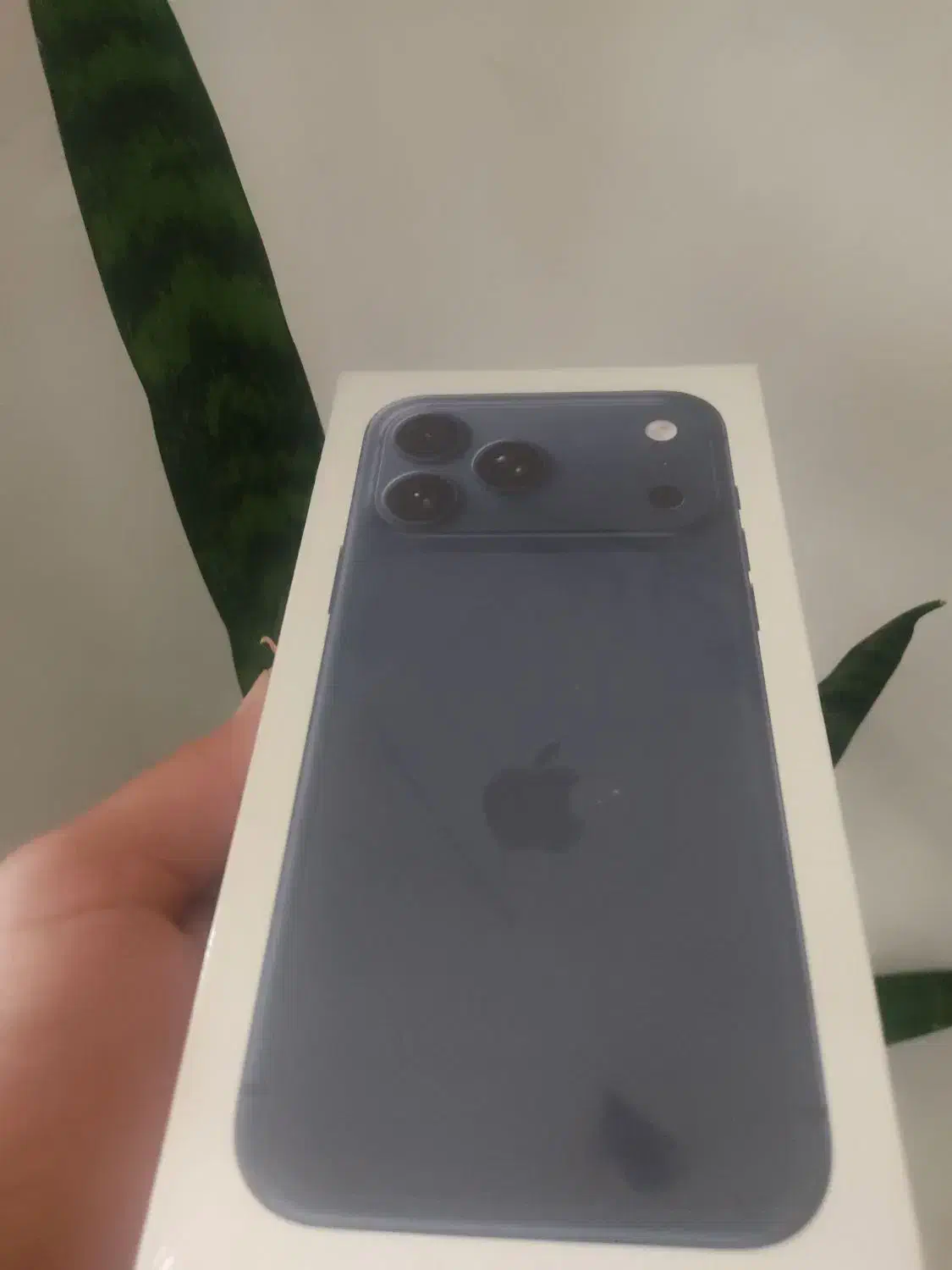 iphone 17 promax|موبایل|شیراز, قلعه نو|دیوار