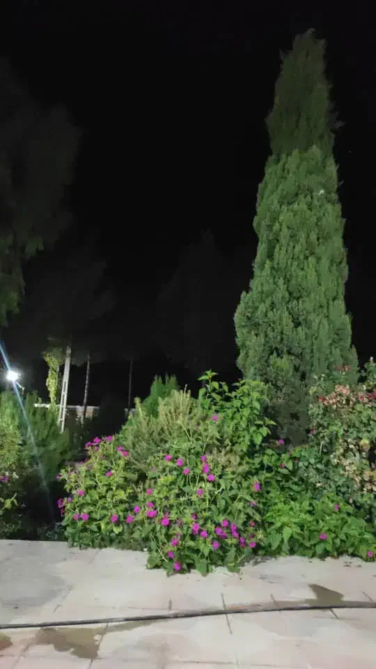 رهن اپارتمان۴خوابه۲۰۰متری تک واحدی|اجارهٔ آپارتمان|شیراز, فلکه گاز|دیوار