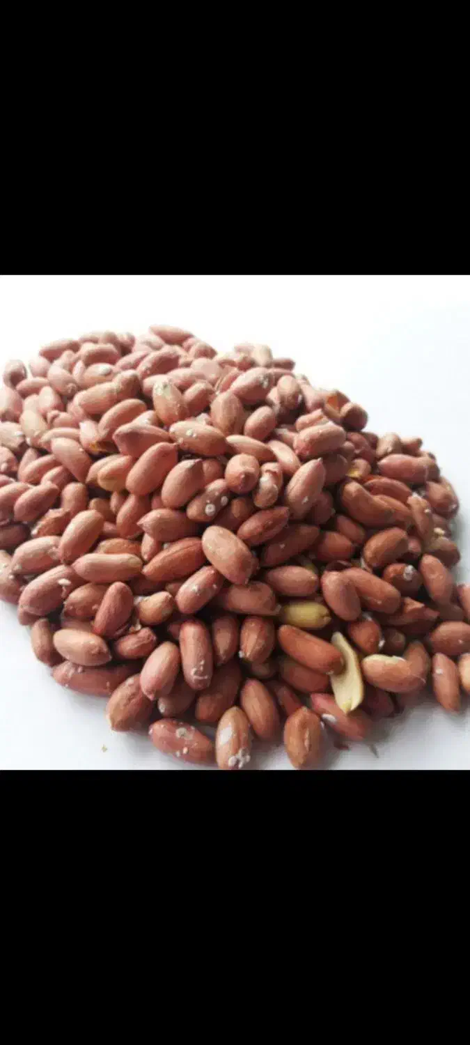 بادام درجه یک آستانه اشرفیه|خوردنی و آشامیدنی|قشم, |دیوار