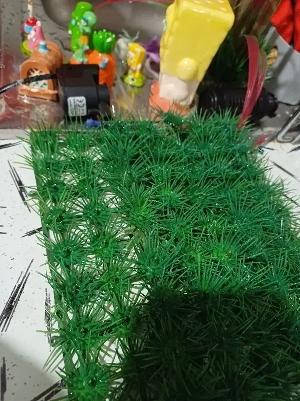 آکواریوم با تمامی وسایل|ماهی|قوچان, |دیوار