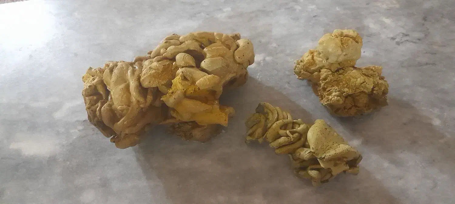 سنگ زینتی و...|ماهی|سنندج, |دیوار