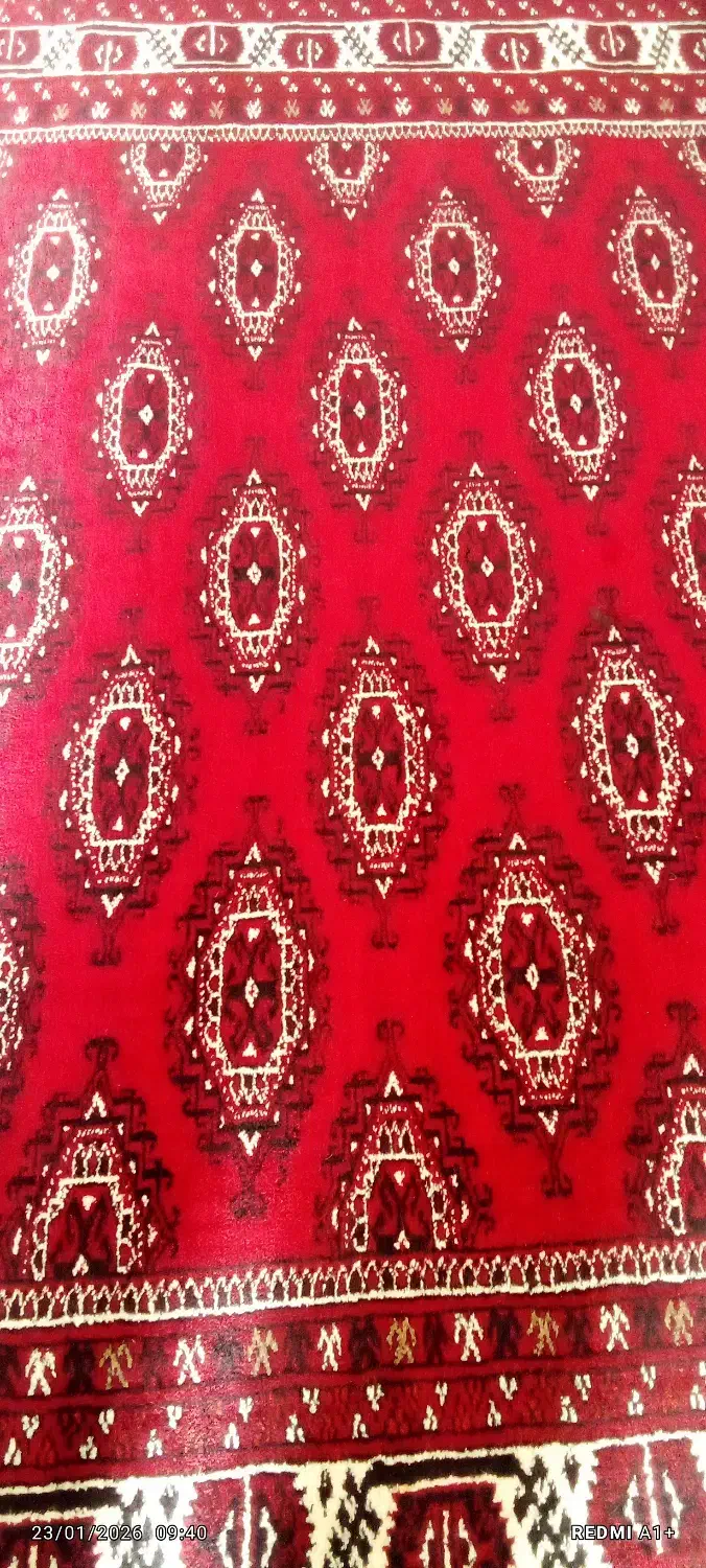 فرش دستبافت ترکمن|فرش|کلاله, |دیوار