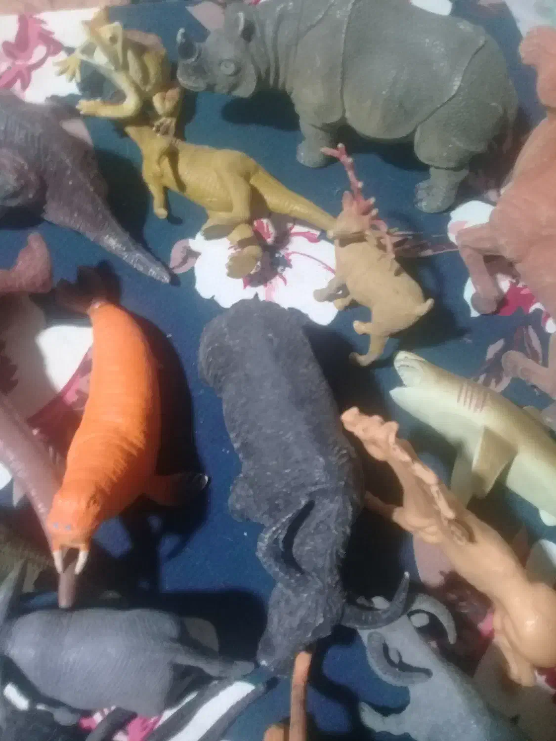 فیگور حیوانات کلکسیونی|کلکسیون و سرگرمی|تنکابن, |دیوار