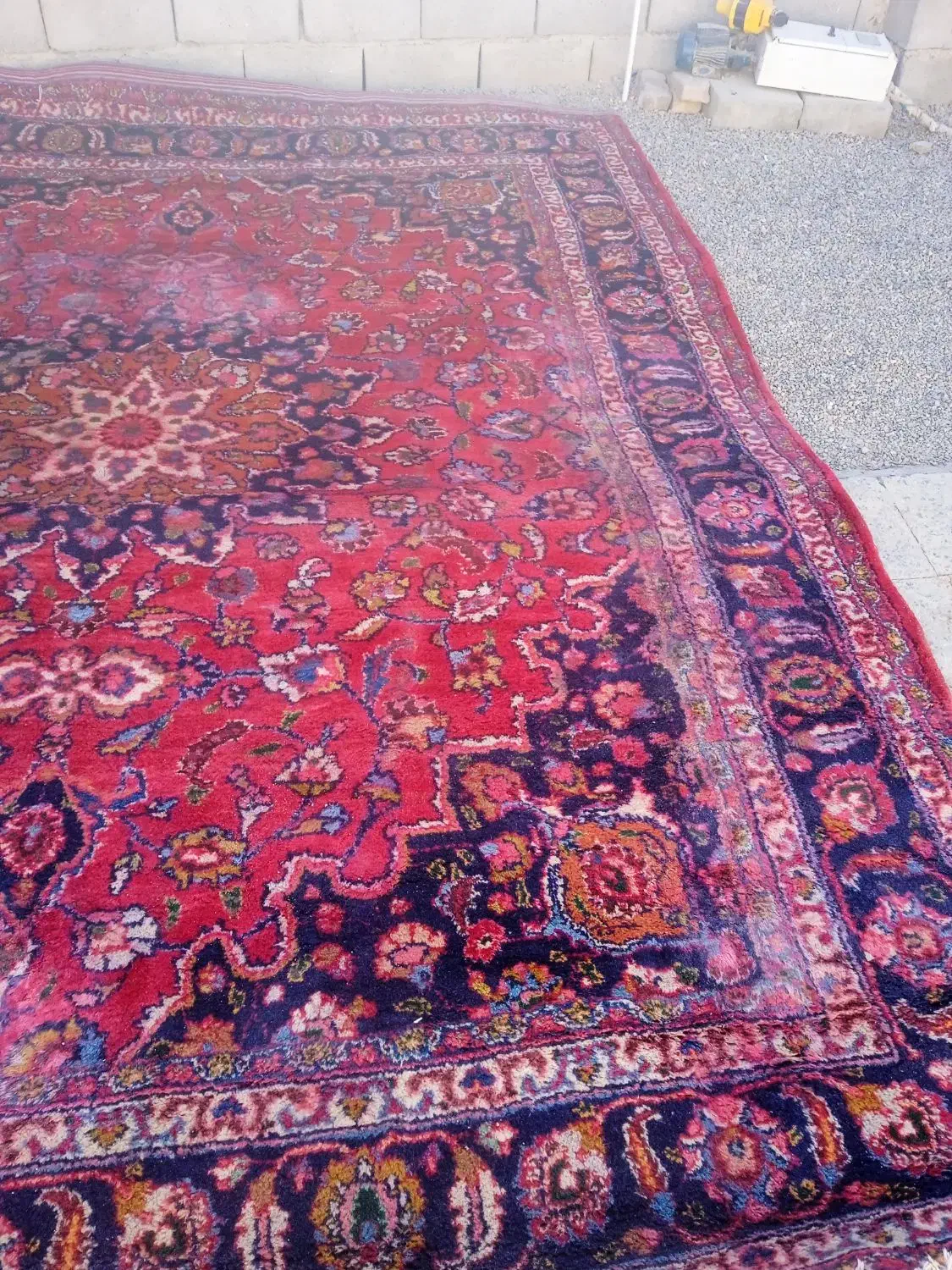 فرش دستباف|فرش|زاهدان, |دیوار