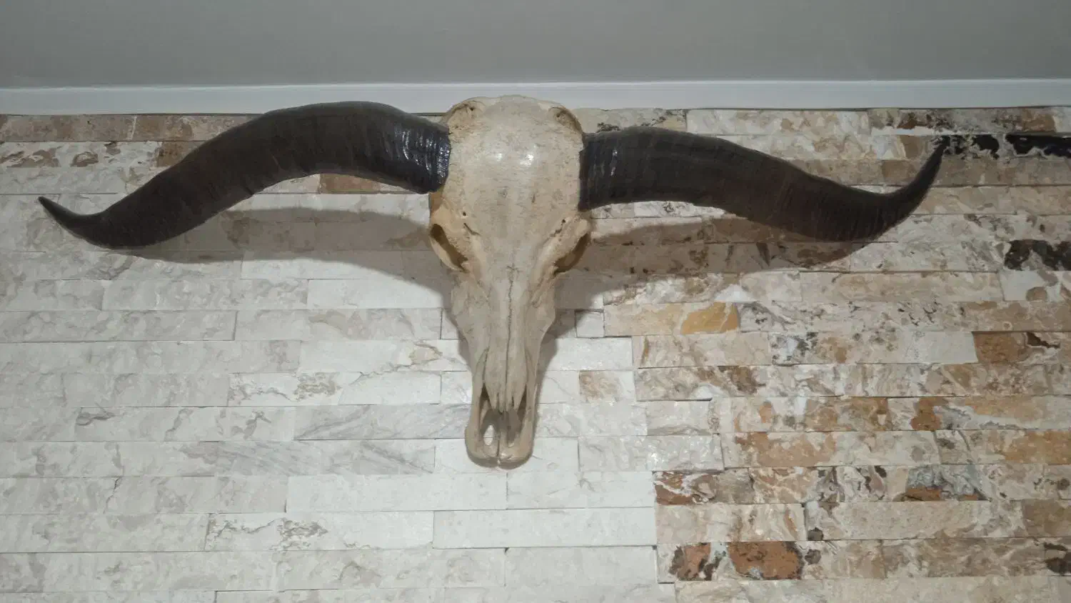 دیوار کوب گاو|مجسمه، تندیس، ماکت|تهران, آذری|دیوار