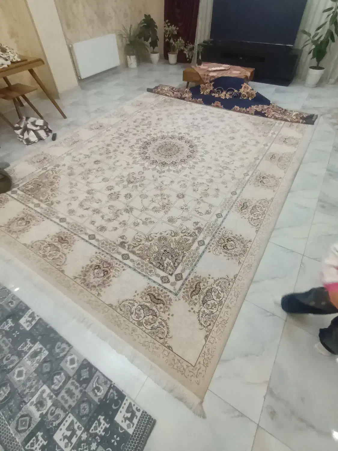 فرش ۱۲ متری ۱۲۰۰ شانه|فرش|محمدشهر, همایون ویلا|دیوار