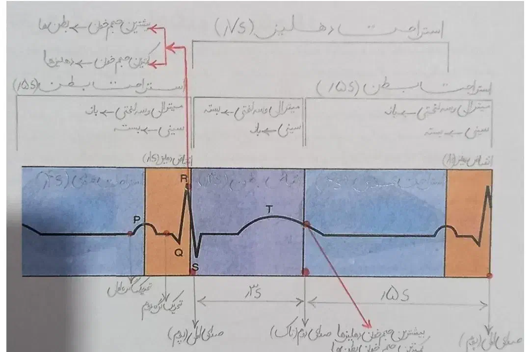 تدریس خصوصی زیست شناسی وشیمی نهایی وکنکوری(تضمینی)|خدمات آموزشی|تهران, فردوسی|دیوار