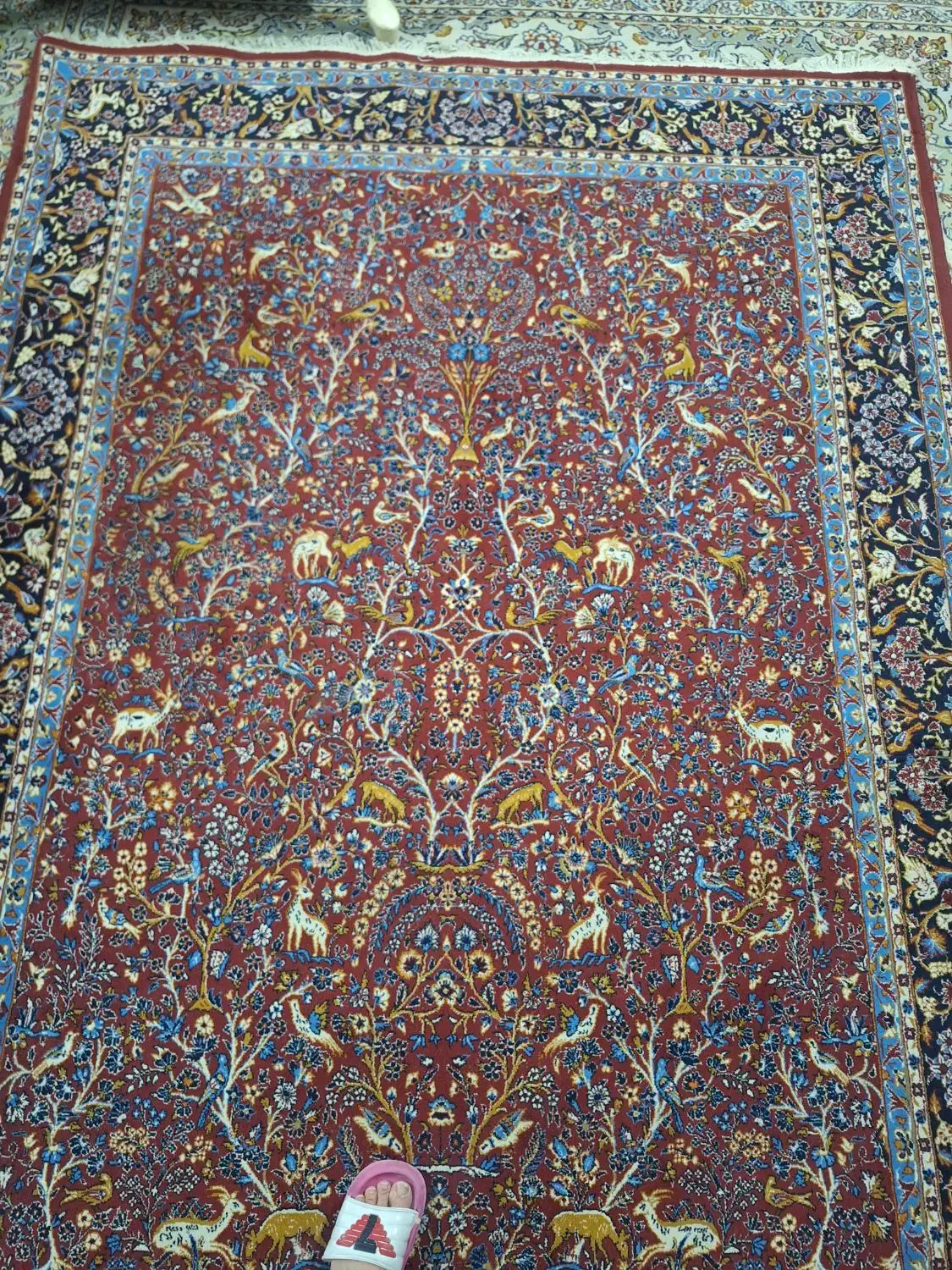 فرش ۶ متری|فرش|قم, شهرک قدس|دیوار