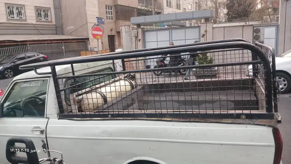 باربند توری پیکان وانت|قطعات یدکی و لوازم جانبی|محلات, |دیوار