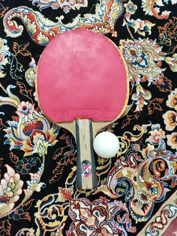 راکت پینگ پنگ|ورزش‌های توپی|قشم, |دیوار