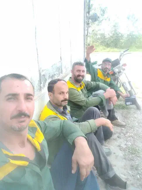 دستگاه زنی باغ وزمین هرس انواع مختلف درخت|خدمات باغبانی و درختکاری|آستانه اشرفیه, |دیوار