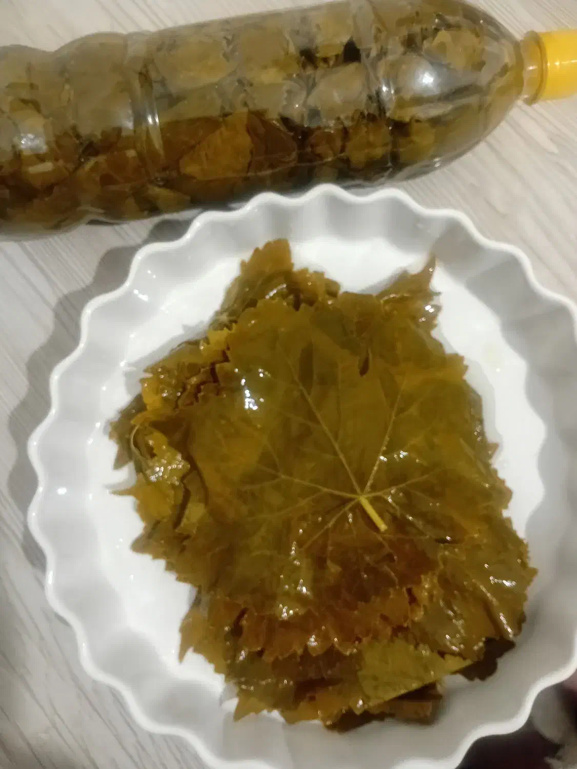 برگ انگور (برگ مو) مشکین بطری|خوردنی و آشامیدنی|اردبیل, |دیوار