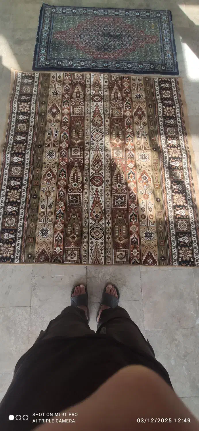 گلیم فرش|فرش|کرمانشاه, |دیوار