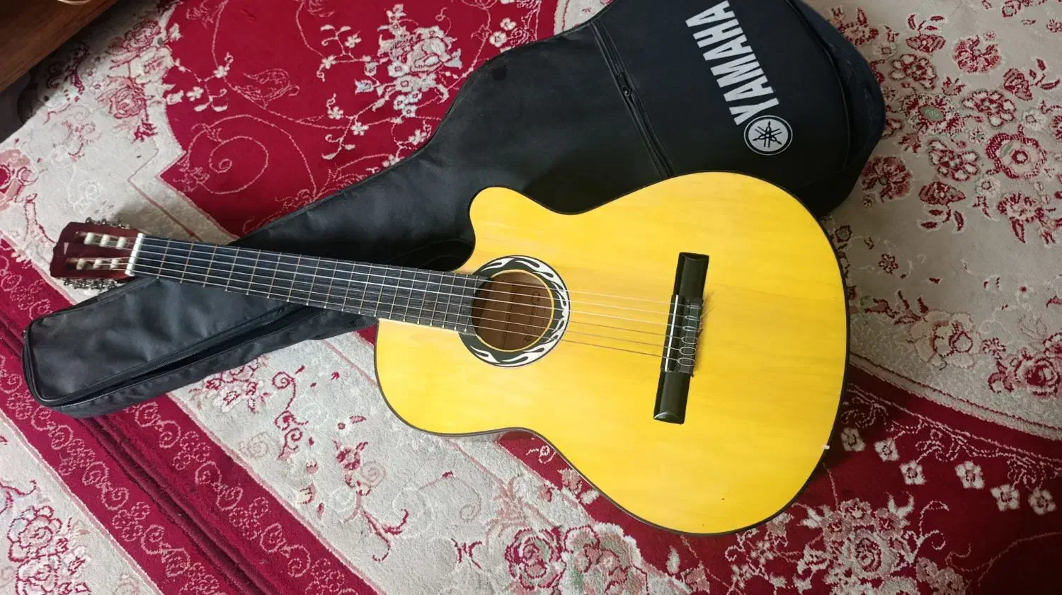 گیتار|گیتار، بیس، امپلیفایر|مریوان, |دیوار