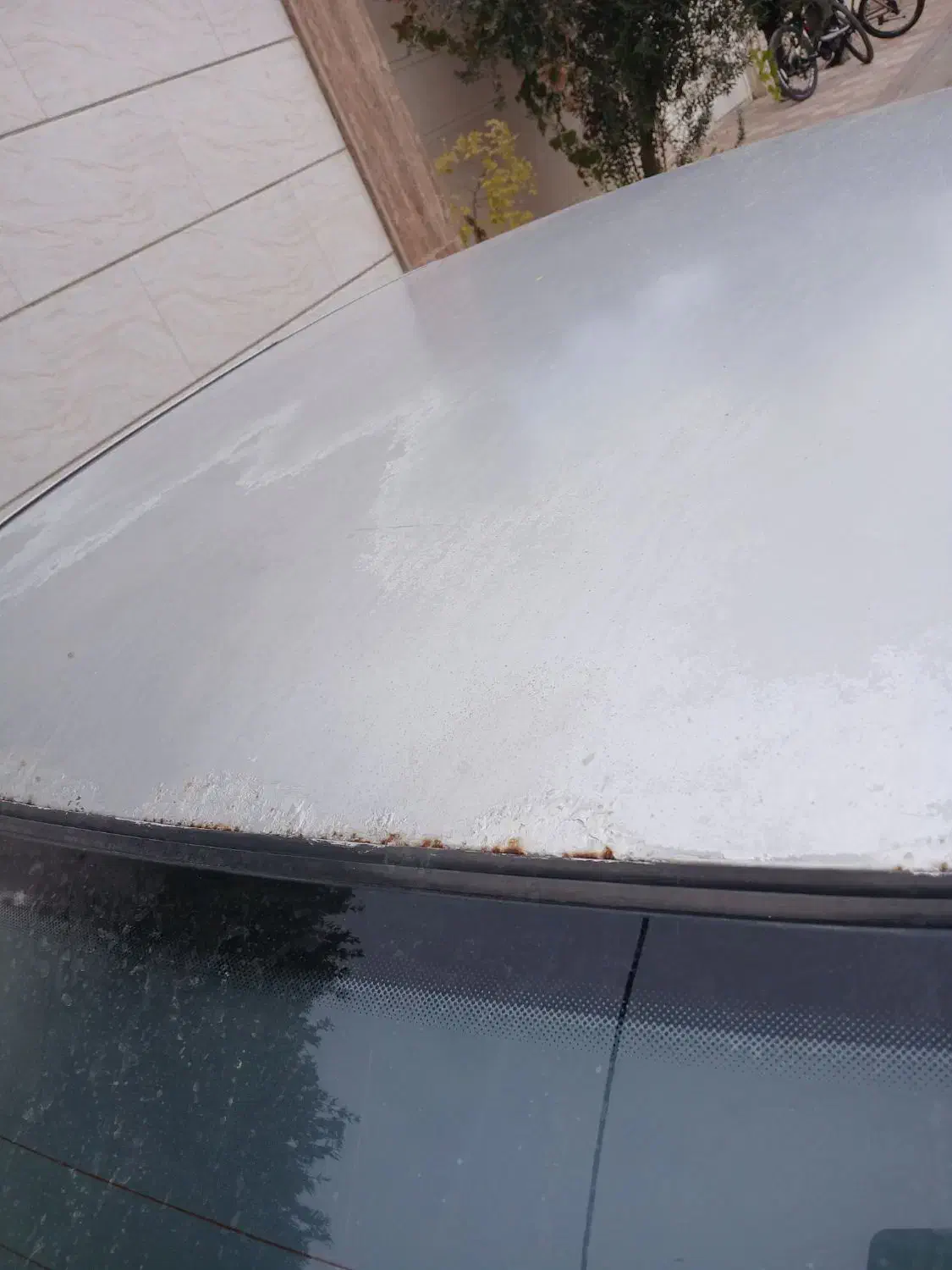 سمند خانگی مدل ۸۴|خودرو سواری و وانت|کاشمر, |دیوار