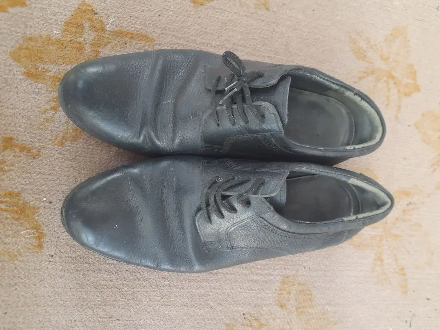 کفش مجلسی اورجینال|کیف، کفش، کمربند|مینودشت, |دیوار