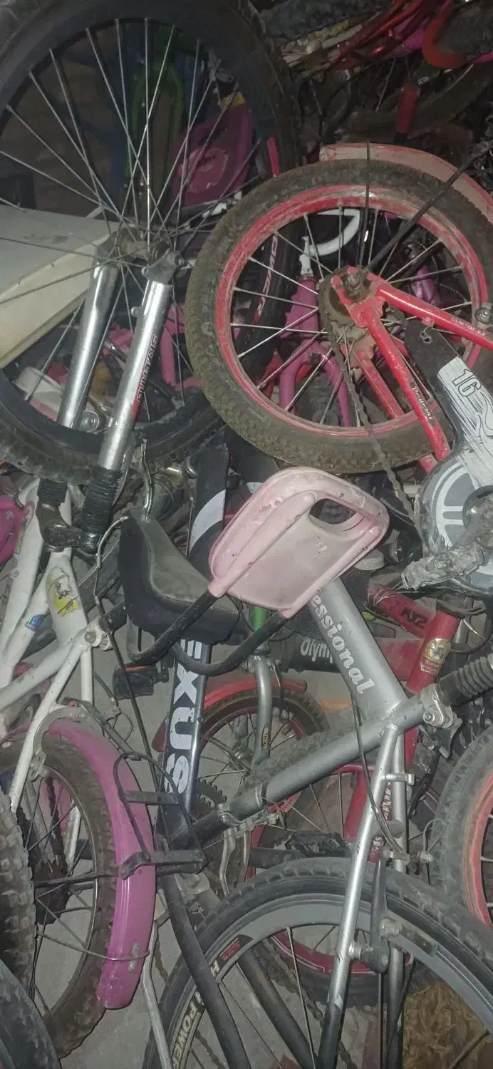 فروش تعداد دوچرخه در هر سایزی یک جا|دوچرخه، اسکیت، اسکوتر|رباطکریم, الارد|دیوار