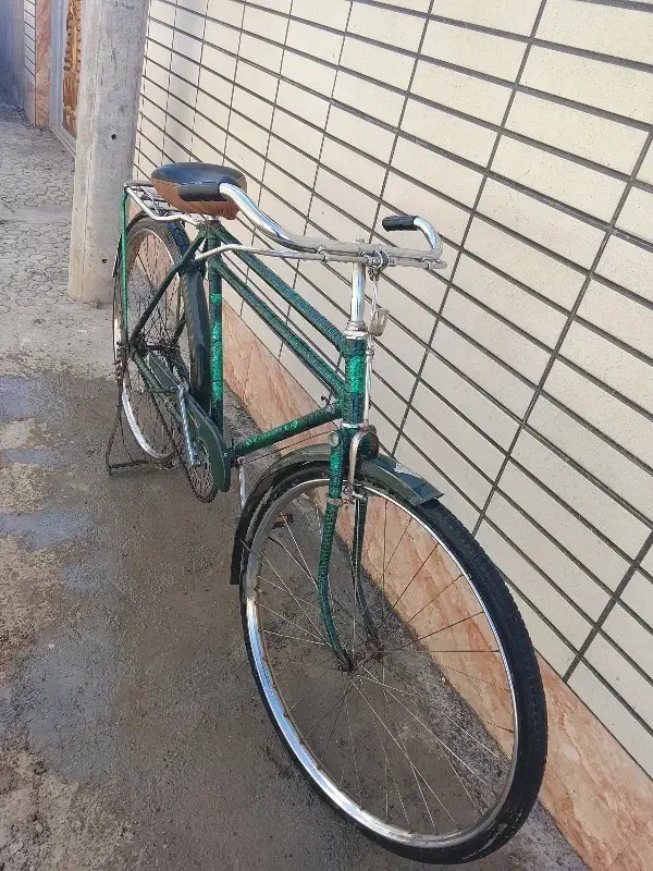 دوچرخه چینی دو میله|دوچرخه، اسکیت، اسکوتر|فلاورجان, |دیوار