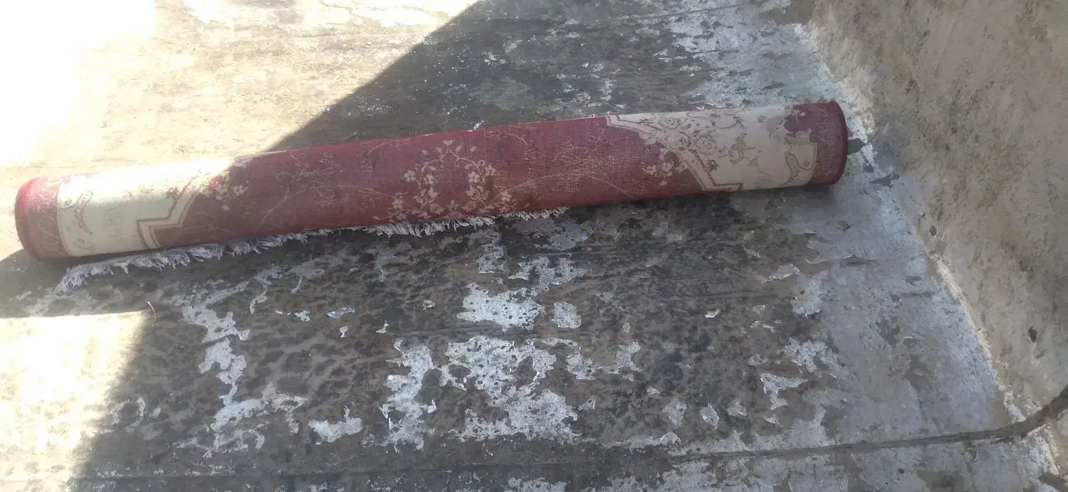 فرش ۶ متری|فرش|ملایر, |دیوار