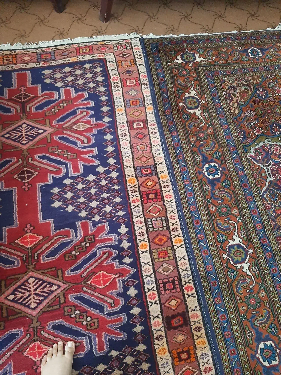 فرس دستباف|فرش|اردبیل, |دیوار