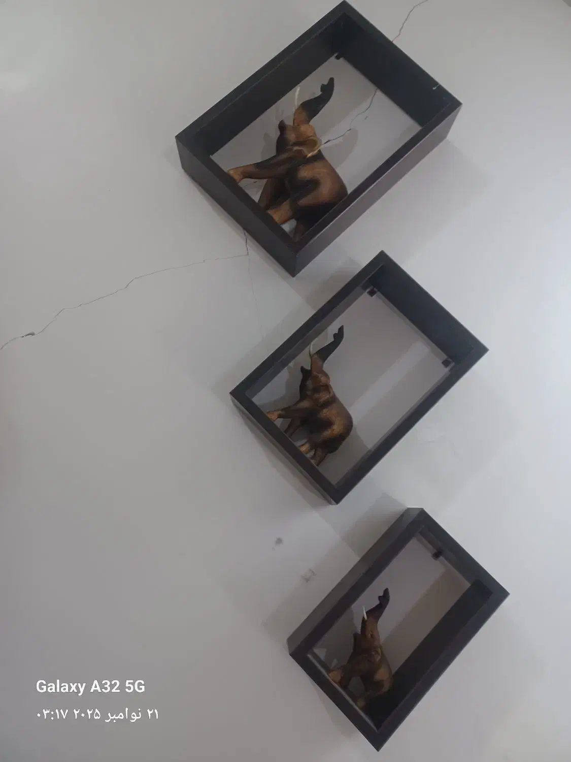 ست کامل فیل چوبی همراه با باکس چوبی|مجسمه، تندیس، ماکت|اراک, |دیوار