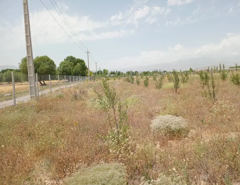 باغ ۹۰۰۰هزار متر|فروش زمین و ملک کلنگی|نیر (اردبیل), |دیوار