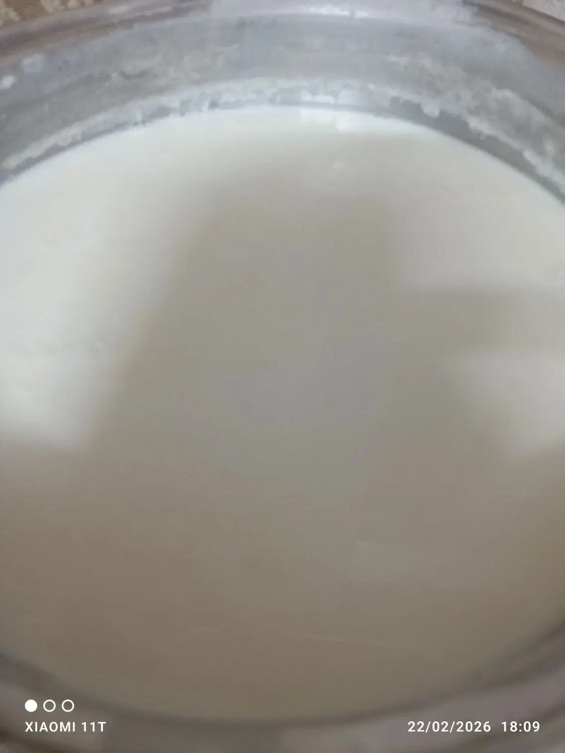 ماست|خوردنی و آشامیدنی|قم, شهر قائم|دیوار