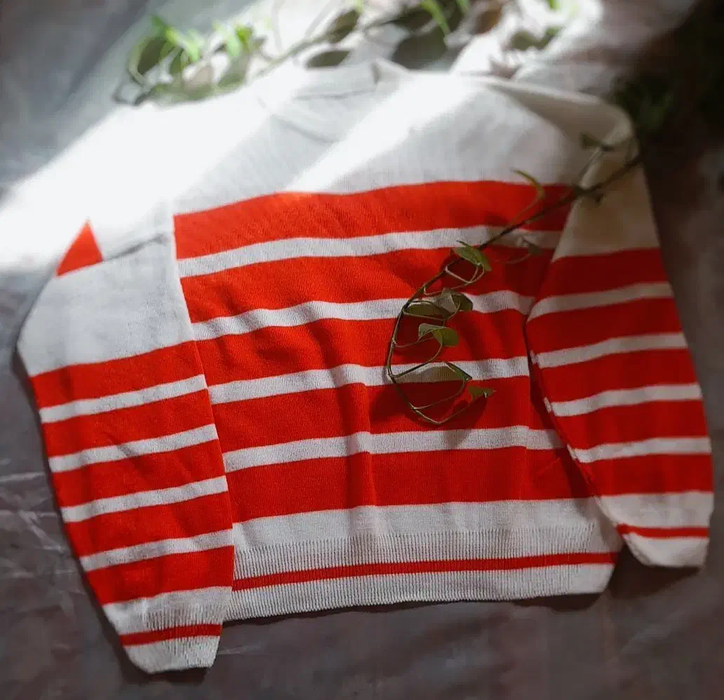 لباس های آف خورده|لباس|کازرون, |دیوار