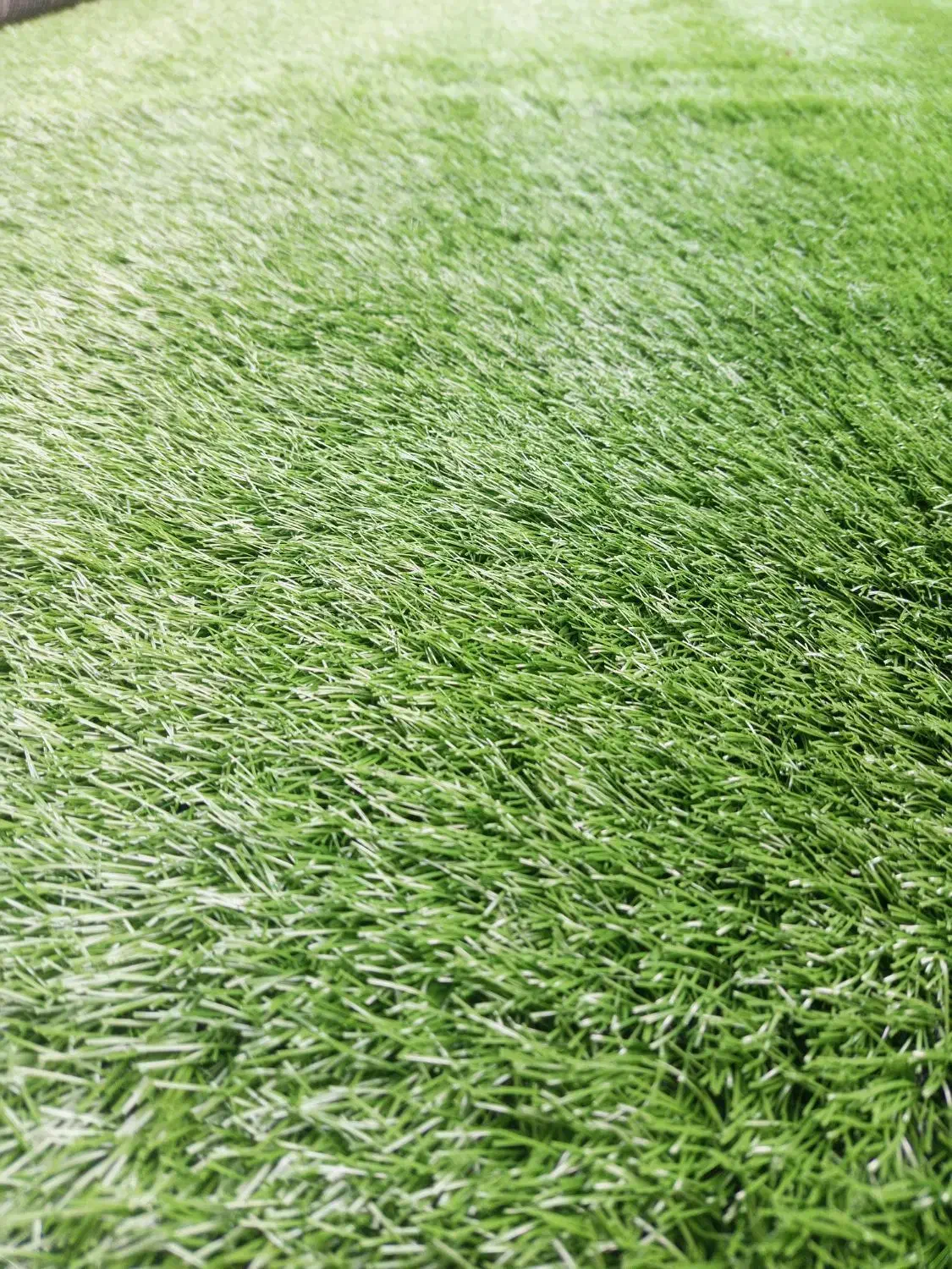 چمن مصنوعی تراکم بالا|گل مصنوعی|مشهد, رضاشهر|دیوار