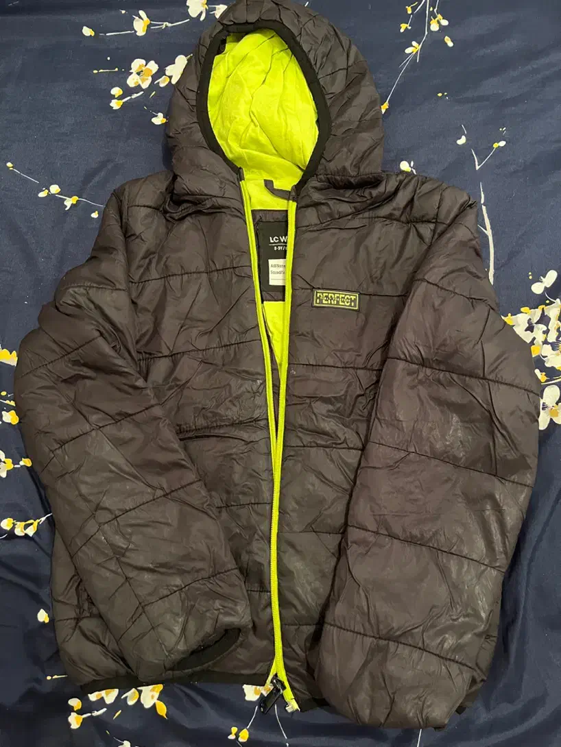 کاپشن|لباس|ساری, |دیوار