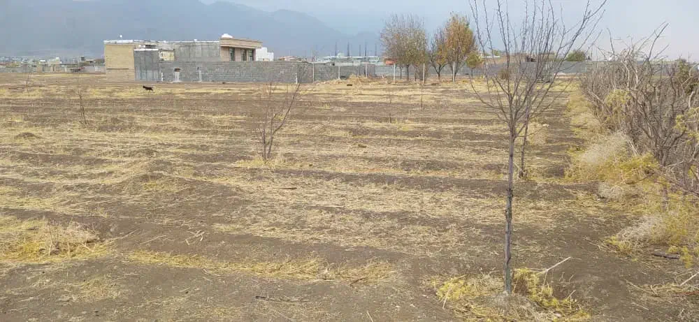 ۱۲۵۰ متر زمین چسب طرح هادی سیاه بید علیا|فروش زمین و ملک کلنگی|کرمانشاه, |دیوار