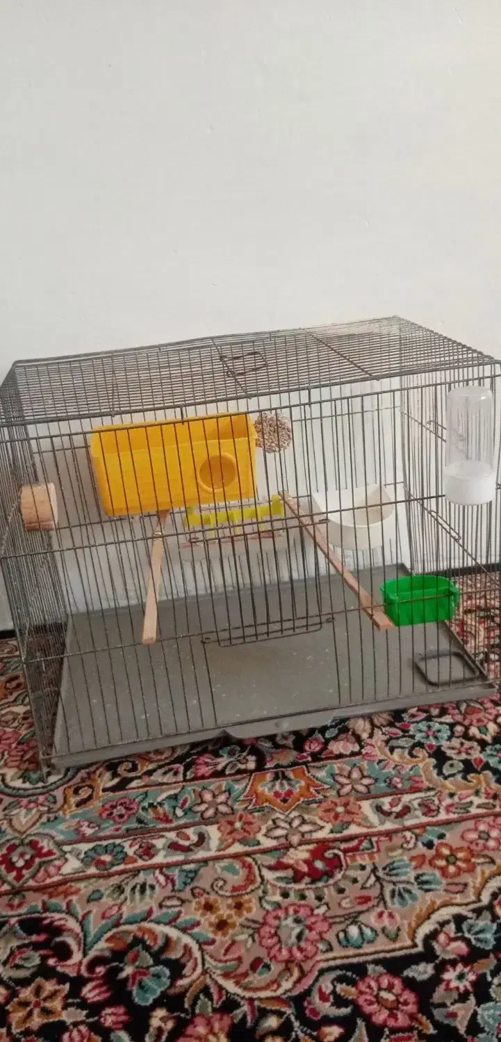 قفس پرنده وعروس هلندی|لوازم جانبی حیوانات|کرمان, |دیوار